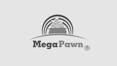 carousel-mega-pawn